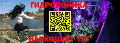 эйфоретик Аргун