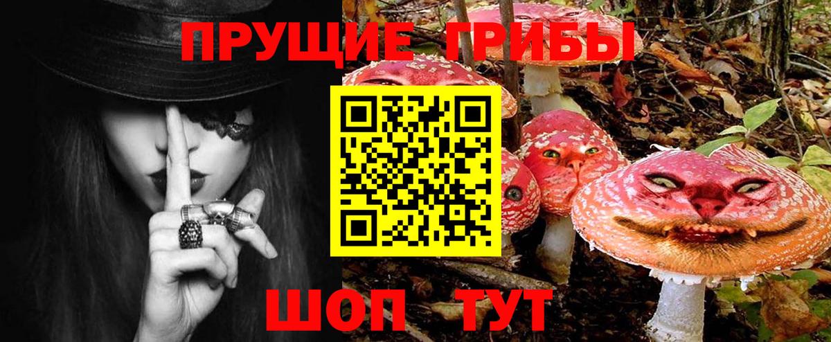 Псилоцибиновые грибы ЛСД Вязники