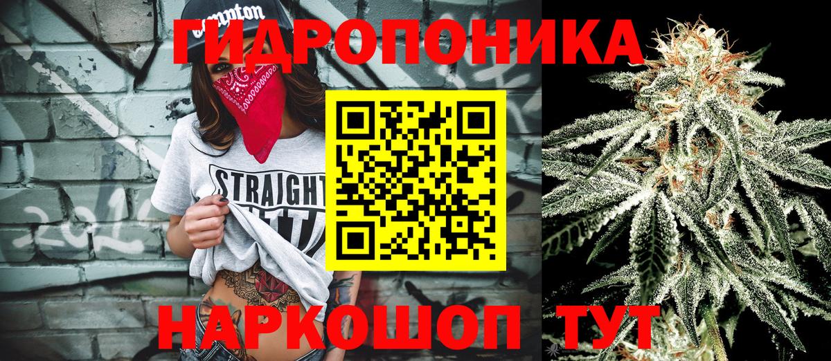 Бошки Шишки сатива Вязники